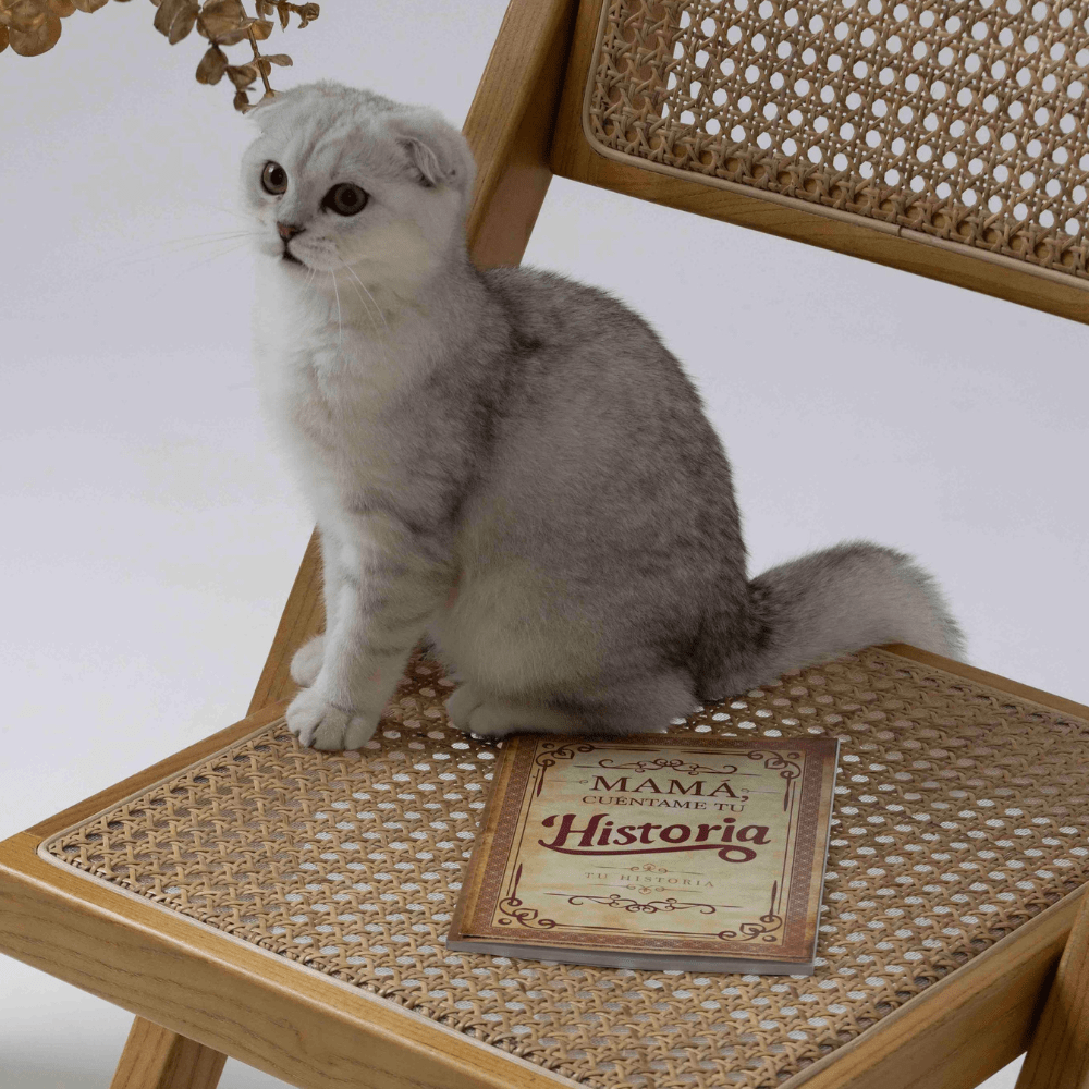 Avó Conta - me a Tua História - A tua História